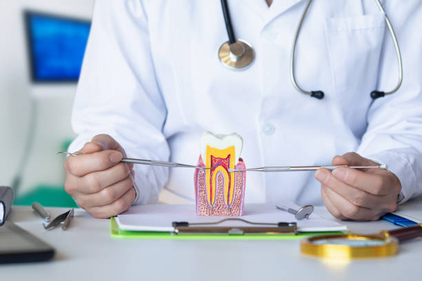 Best Emergency Broken Tooth Repair in Judsonia, AR